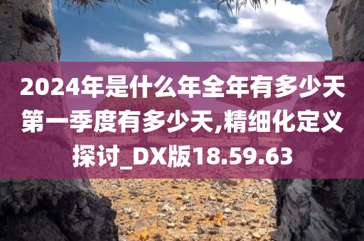 2024年是什么年全年有多少天第一季度有多少天,精细化定义探讨_DX版18.59.63