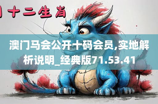 澳门马会公开十码会员,实地解析说明_经典版71.53.41