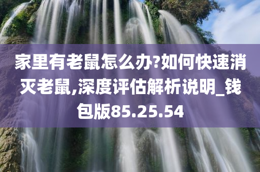 家里有老鼠怎么办?如何快速消灭老鼠,深度评估解析说明_钱包版85.25.54