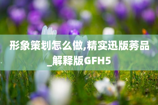 形象策划怎么做,精实迅版莠品_解释版GFH5