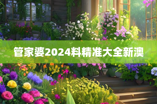 管家婆2024料精准大全新澳