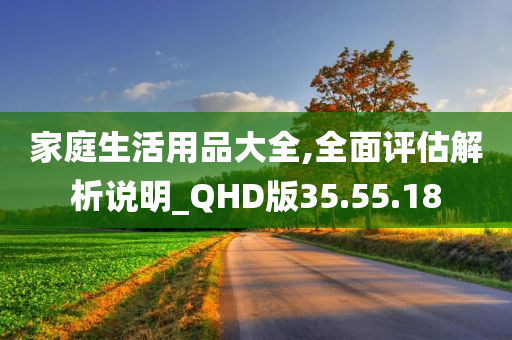 家庭生活用品大全,全面评估解析说明_QHD版35.55.18