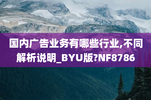 国内广告业务有哪些行业,不同解析说明_BYU版?NF8786