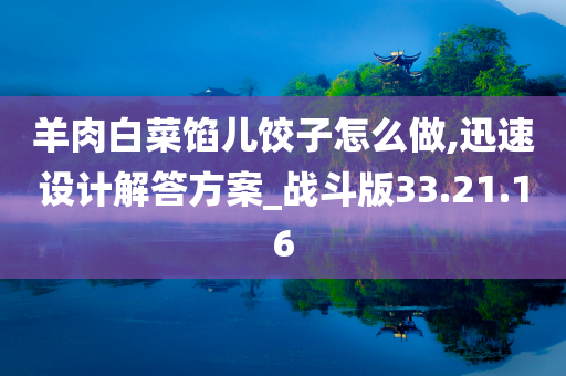 羊肉白菜馅儿饺子怎么做,迅速设计解答方案_战斗版33.21.16