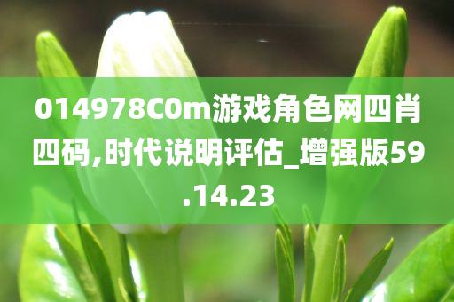 014978C0m游戏角色网四肖四码,时代说明评估_增强版59.14.23