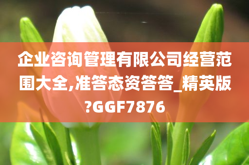 企业咨询管理有限公司经营范围大全,准答态资答答_精英版?GGF7876