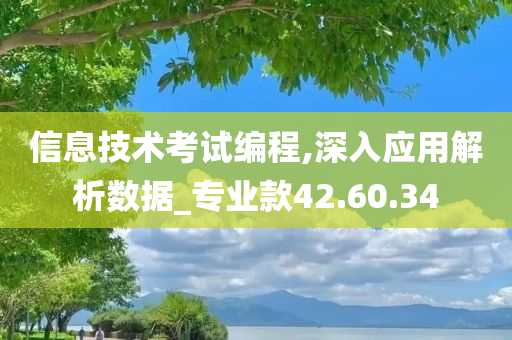 信息技术考试编程,深入应用解析数据_专业款42.60.34