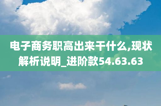 电子商务职高出来干什么,现状解析说明_进阶款54.63.63