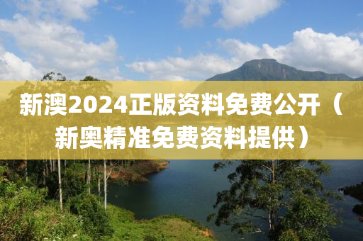 新澳2024正版资料免费公开（新奥精准免费资料提供）