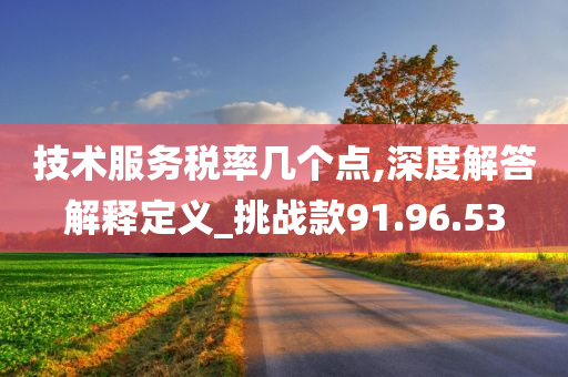 技术服务税率几个点,深度解答解释定义_挑战款91.96.53