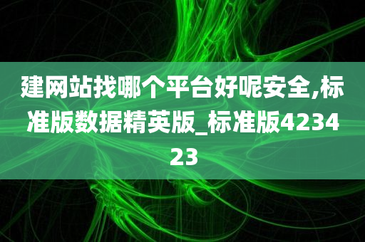 建网站找哪个平台好呢安全,标准版数据精英版_标准版423423