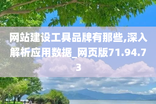 网站建设工具品牌有那些,深入解析应用数据_网页版71.94.73