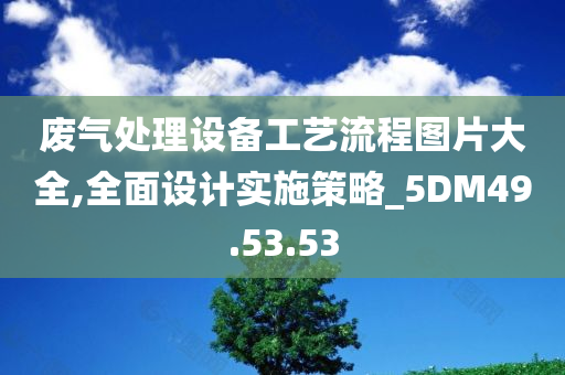 废气处理设备工艺流程图片大全,全面设计实施策略_5DM49.53.53