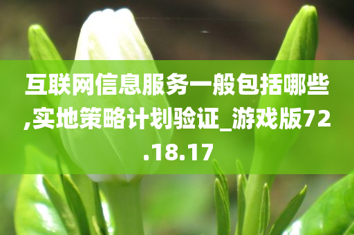 互联网信息服务一般包括哪些,实地策略计划验证_游戏版72.18.17