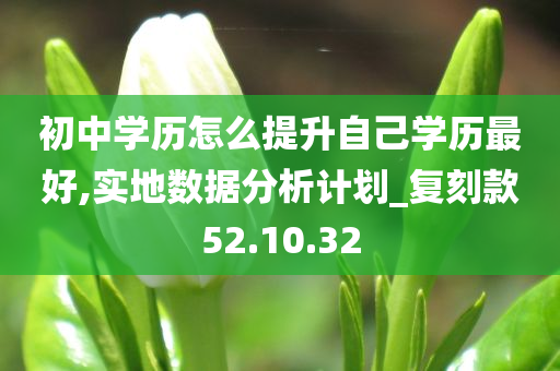 初中学历怎么提升自己学历最好,实地数据分析计划_复刻款52.10.32