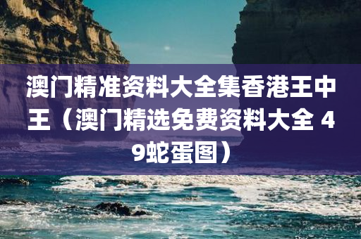 澳门精准资料大全集香港王中王（澳门精选免费资料大全 49蛇蛋图）