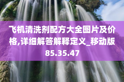 飞机清洗剂配方大全图片及价格,详细解答解释定义_移动版85.35.47