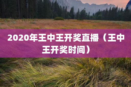 2020年王中王开奖直播（王中王开奖时间）