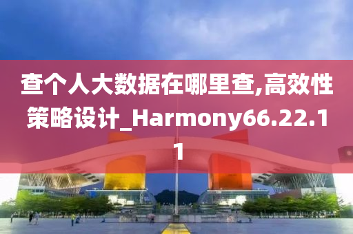 查个人大数据在哪里查,高效性策略设计_Harmony66.22.11