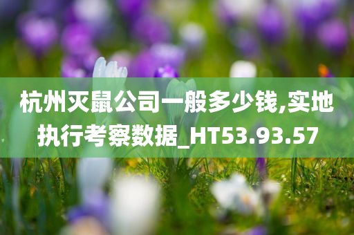 杭州灭鼠公司一般多少钱,实地执行考察数据_HT53.93.57