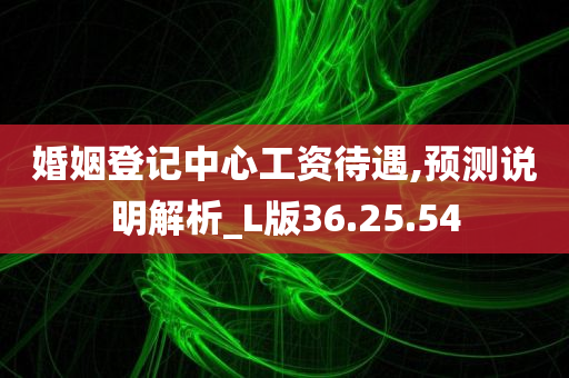 婚姻登记中心工资待遇,预测说明解析_L版36.25.54