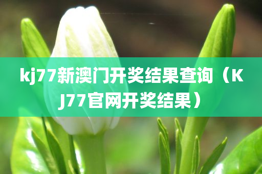 kj77新澳门开奖结果查询（KJ77官网开奖结果）