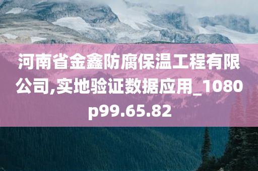 河南省金鑫防腐保温工程有限公司,实地验证数据应用_1080p99.65.82