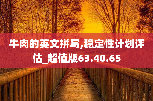 牛肉的英文拼写,稳定性计划评估_超值版63.40.65