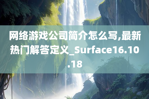 网络游戏公司简介怎么写,最新热门解答定义_Surface16.10.18