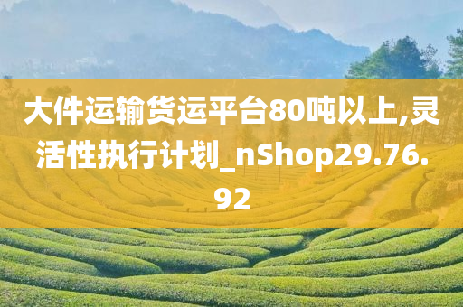 大件运输货运平台80吨以上,灵活性执行计划_nShop29.76.92