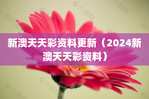 新澳天天彩资料更新（2024新澳天天彩资料）