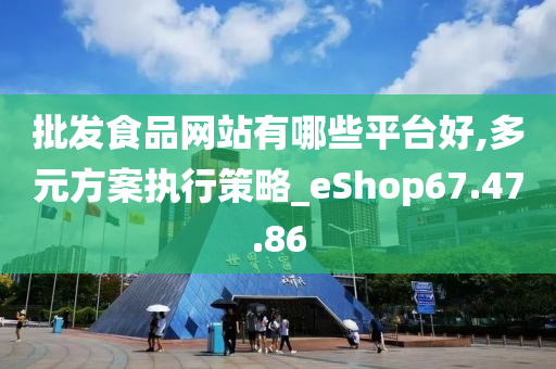 批发食品网站有哪些平台好,多元方案执行策略_eShop67.47.86