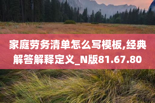 家庭劳务清单怎么写模板,经典解答解释定义_N版81.67.80