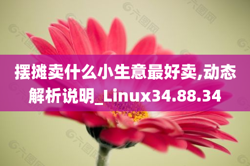 摆摊卖什么小生意最好卖,动态解析说明_Linux34.88.34