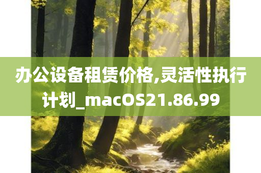 办公设备租赁价格,灵活性执行计划_macOS21.86.99