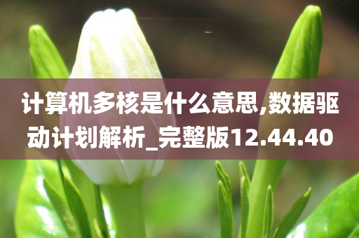 计算机多核是什么意思,数据驱动计划解析_完整版12.44.40