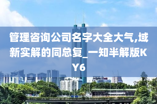 管理咨询公司名字大全大气,域新实解的同总复_一知半解版KY6