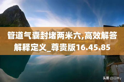 管道气囊封堵两米六,高效解答解释定义_尊贵版16.45.85