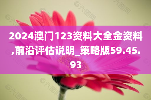 2024澳门123资料大全金资料,前沿评估说明_策略版59.45.93