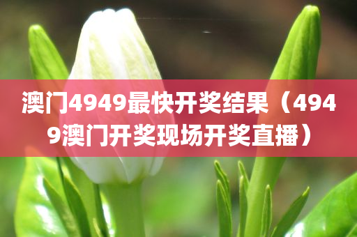 澳门4949最快开奖结果（4949澳门开奖现场开奖直播）