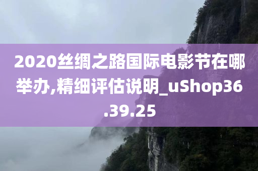 2020丝绸之路国际电影节在哪举办,精细评估说明_uShop36.39.25