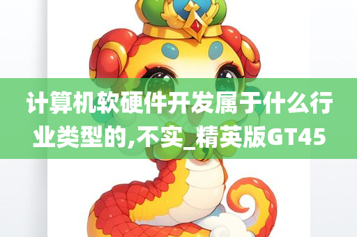 计算机软硬件开发属于什么行业类型的,不实_精英版GT45