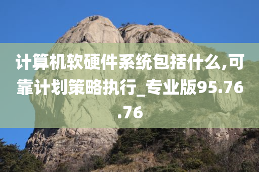 计算机软硬件系统包括什么,可靠计划策略执行_专业版95.76.76