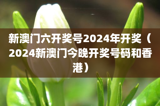 新澳门六开奖号2024年开奖（2024新澳门今晚开奖号码和香港）