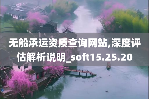 无船承运资质查询网站,深度评估解析说明_soft15.25.20