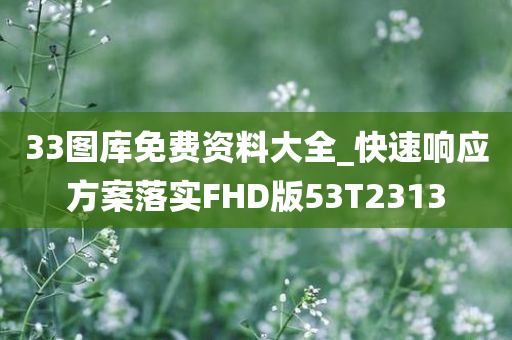 33图库免费资料大全_快速响应方案落实FHD版53T2313