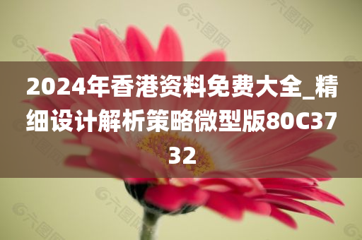 2024年香港资料免费大全_精细设计解析策略微型版80C3732