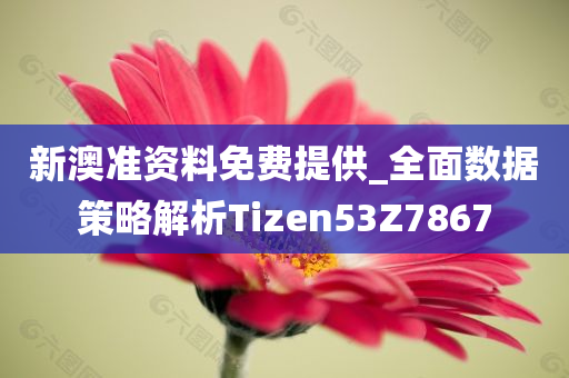 新澳准资料免费提供_全面数据策略解析Tizen53Z7867