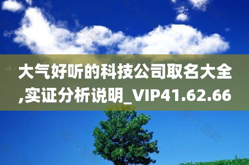 大气好听的科技公司取名大全,实证分析说明_VIP41.62.66