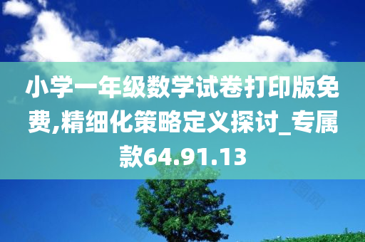 小学一年级数学试卷打印版免费,精细化策略定义探讨_专属款64.91.13